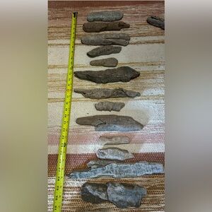 Assorted Fossilized Wood Collection